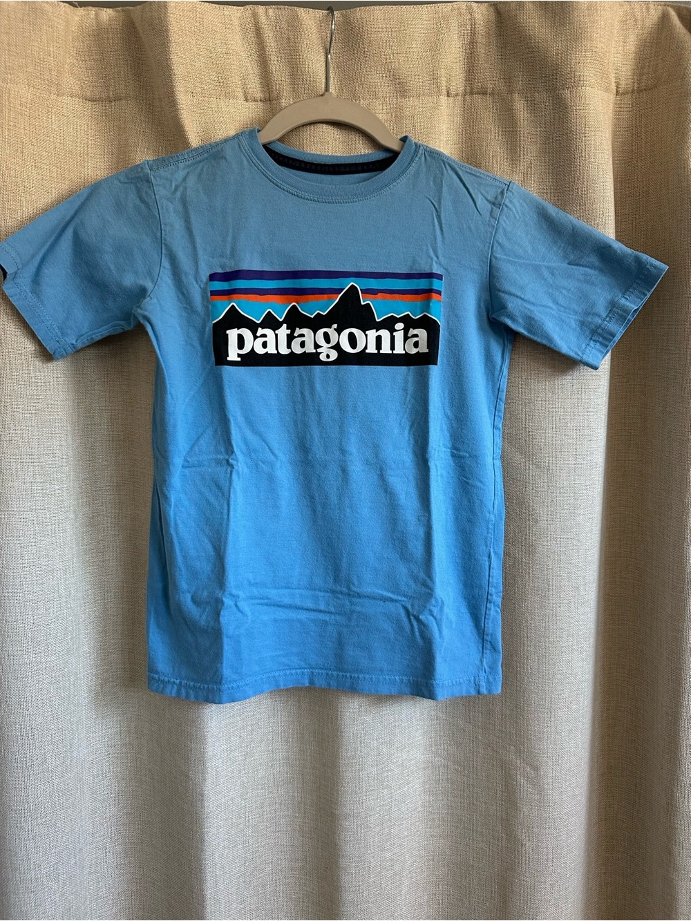NWOT Patagonia Kids Blue classic Logo Short Sleeve Tee